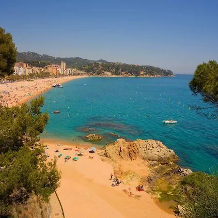 Espectacular 4 Pax Con Piscina A 250 M De La Playa - Lavande Petit Apartment Lloret de Mar